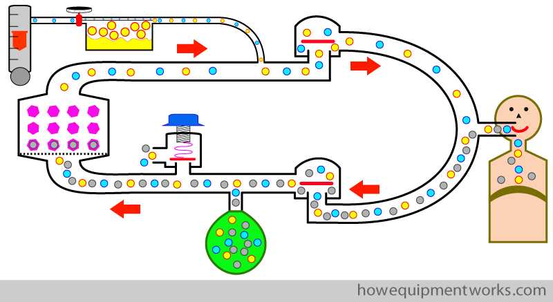 schematic diagram of anesthesia machine schematic diagram of anesthesia machine