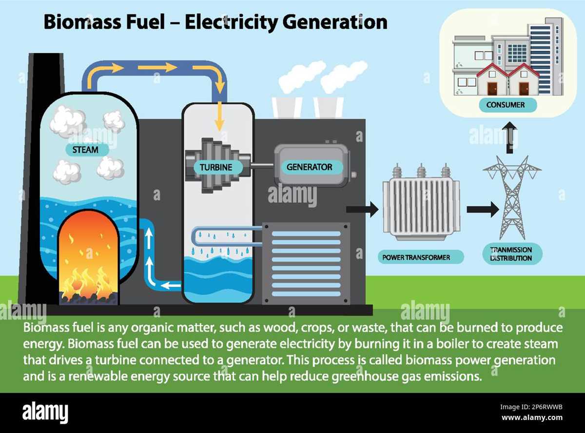 biomass schematic diagram biomass schematic diagram