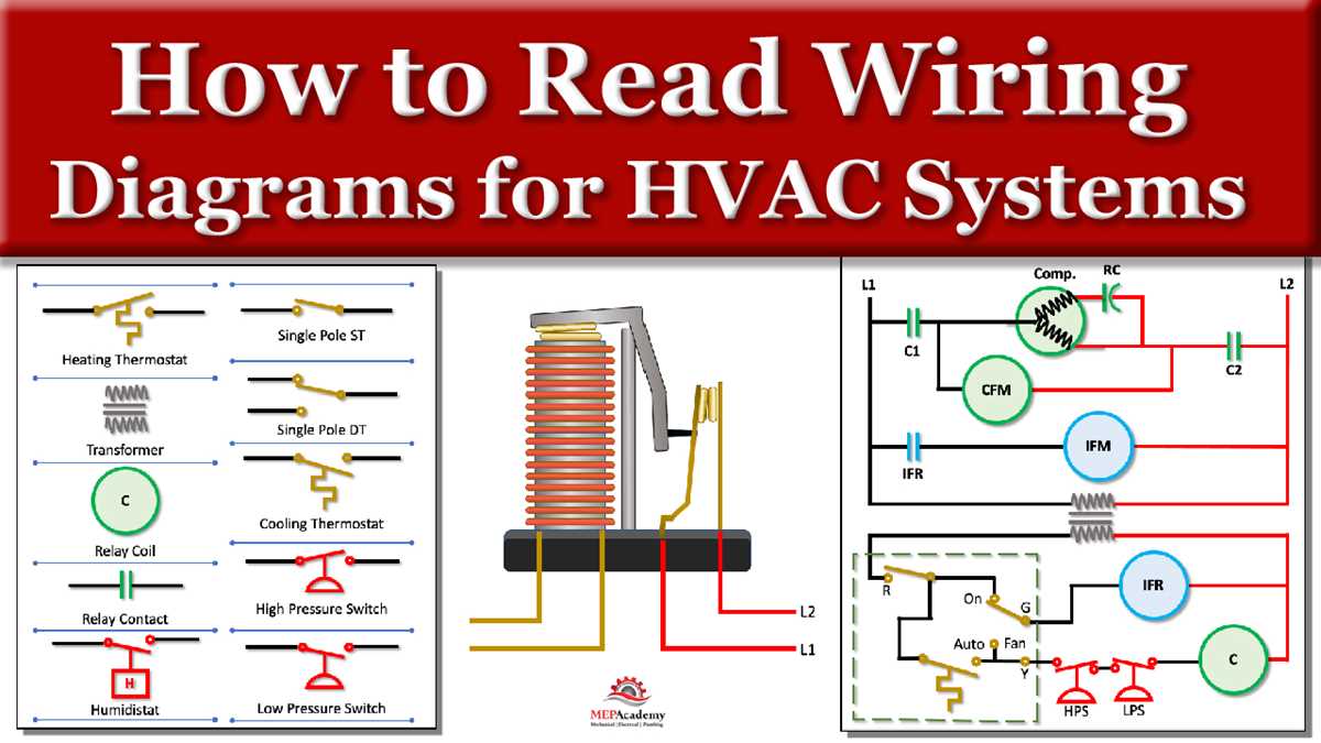 ladder diagram vs schematic diagram
