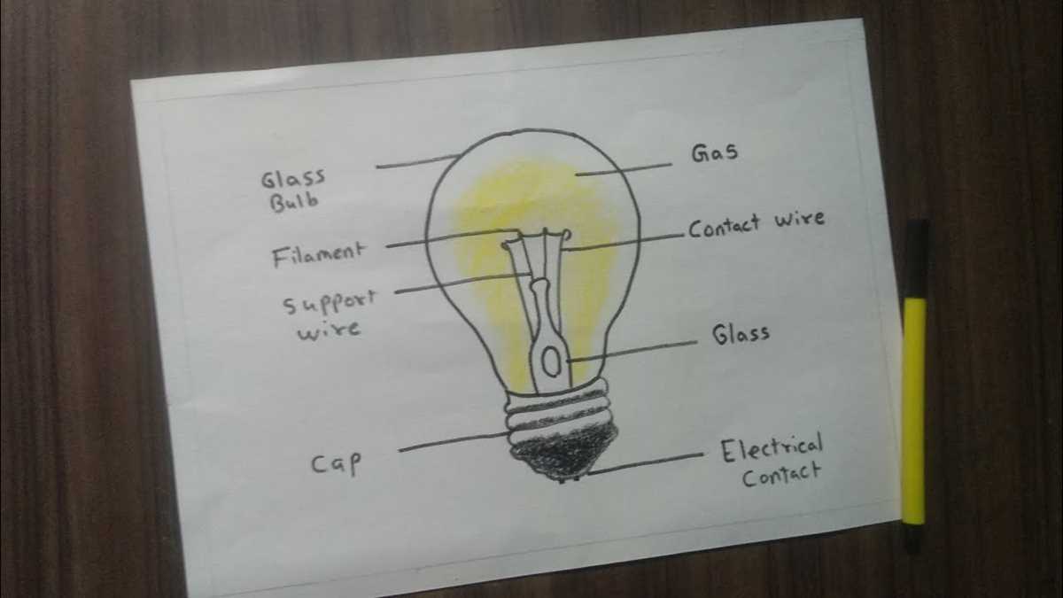 light bulb schematic diagram intro to agriculture