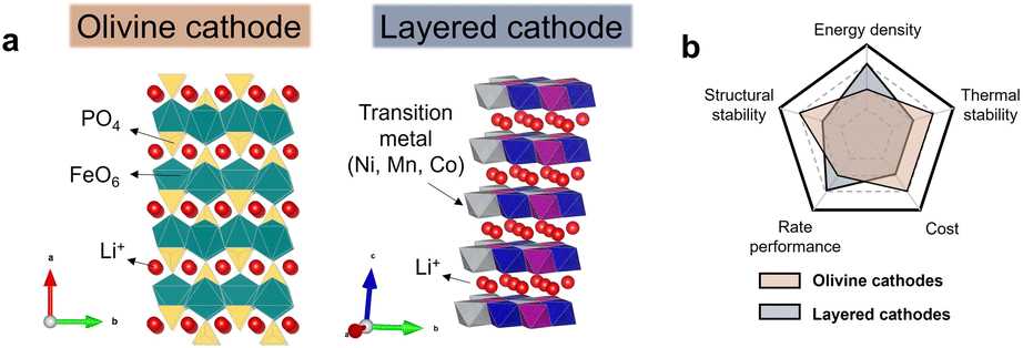 diagram the schematic structure of olivine