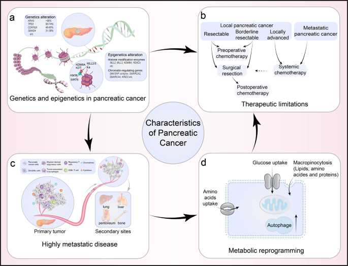pancreatic cancer pathophysiology schematic diagram