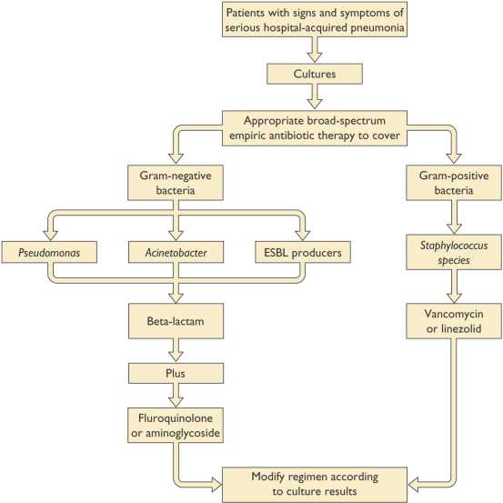 pathophysiology of pneumonia schematic diagram