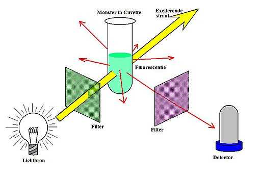 schematic diagram of fluorometer schematic diagram of fluorometer
