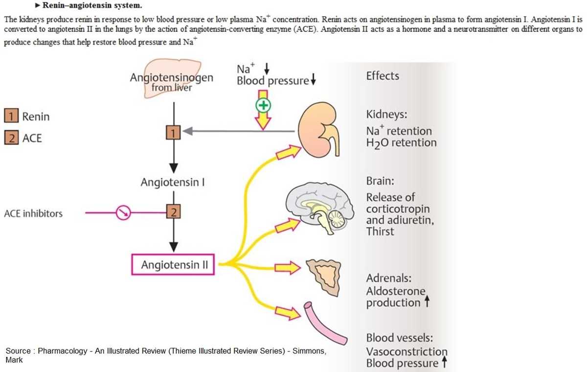 raas schematic diagram