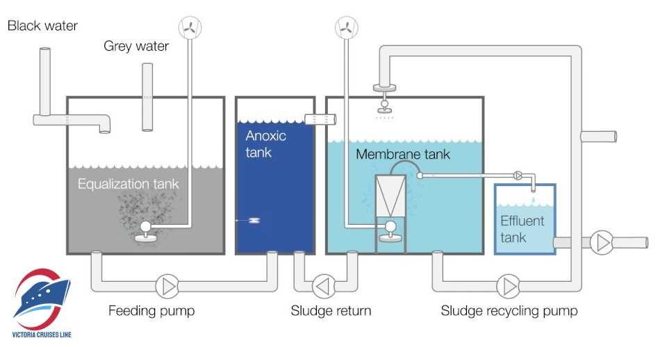 schematic diagram of sewage treatment process