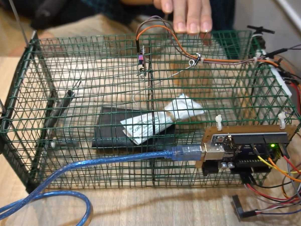 rat zapper circuit diagram
