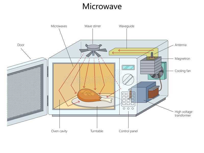 schematic diagram of microwave oven
