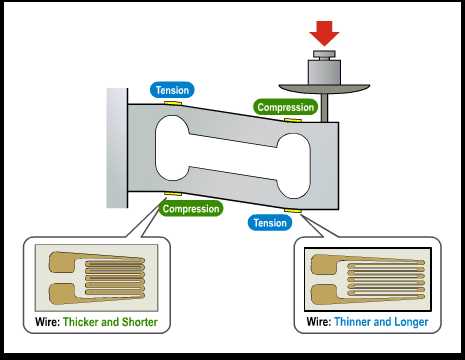 scell schematic diagram