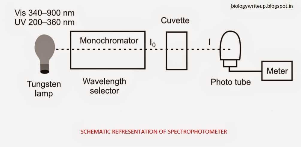 schematic diagram of a spectrophotometer
