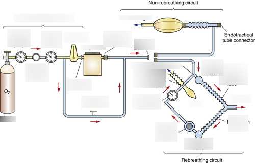 schematic diagram of anesthesia machine schematic diagram of anesthesia machine