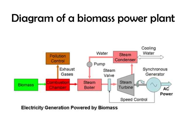 schematic diagram of biomass power plant