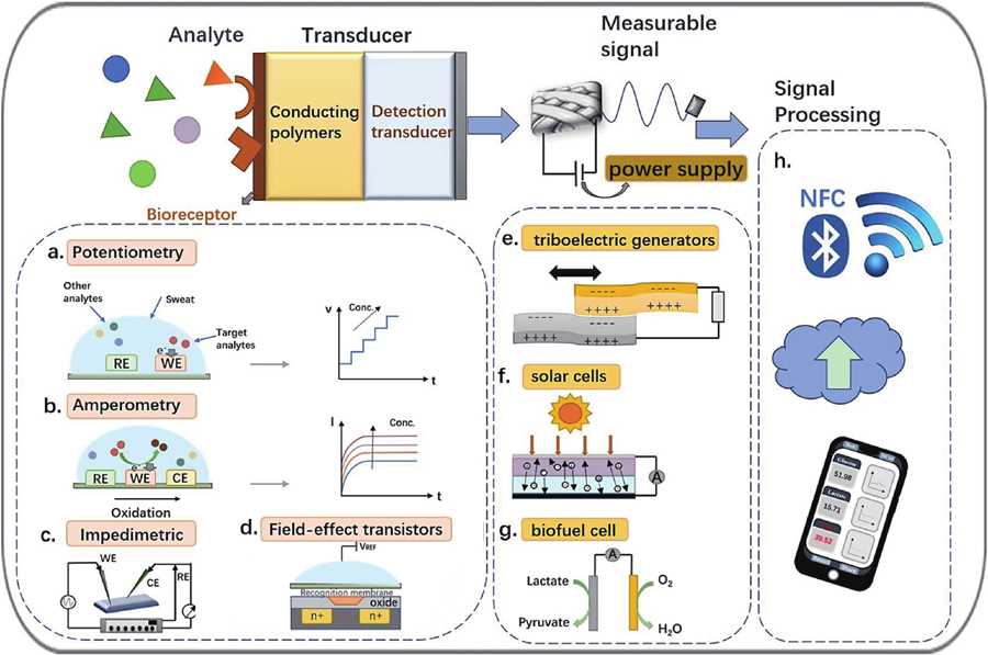 schematic diagram of biosensor
