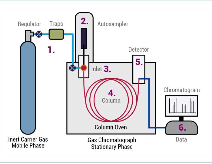 schematic diagram of gas liquid chromatography