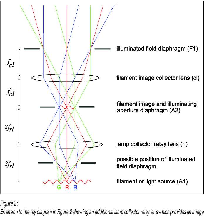 schematic diagram of optical microscope schematic diagram of optical microscope