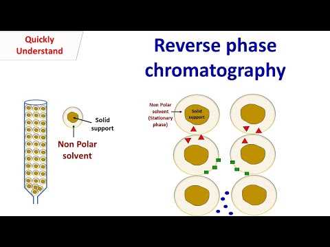 schematic diagram of reversed phase hplc