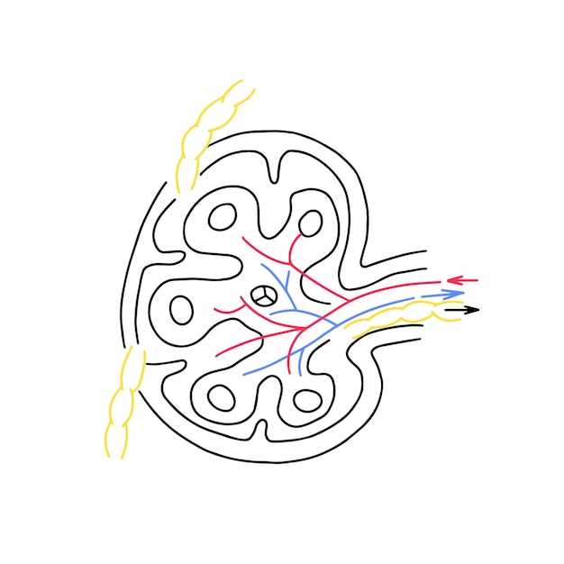 schematic nodes diagram