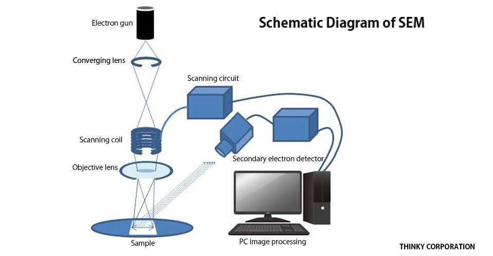 sem schematic column diagram