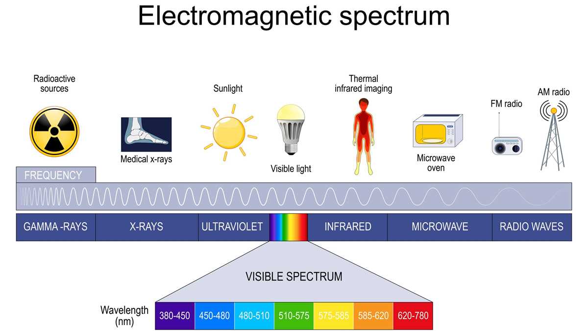 most loads shown in schematic diagram are connected in