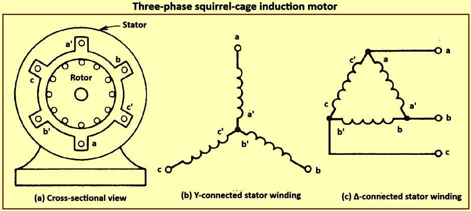 squirrel cage motor circuit diagram