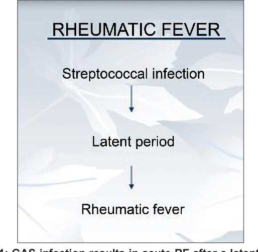 rheumatic fever pathophysiology schematic diagram