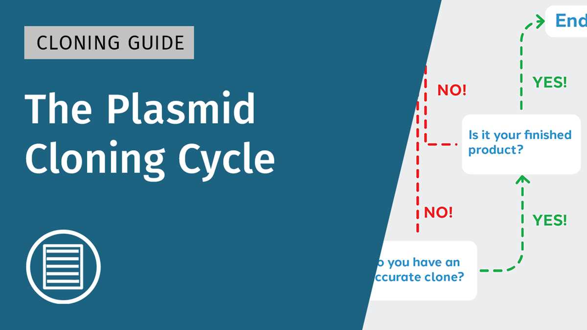 this schematic diagram shows the steps in plasmid