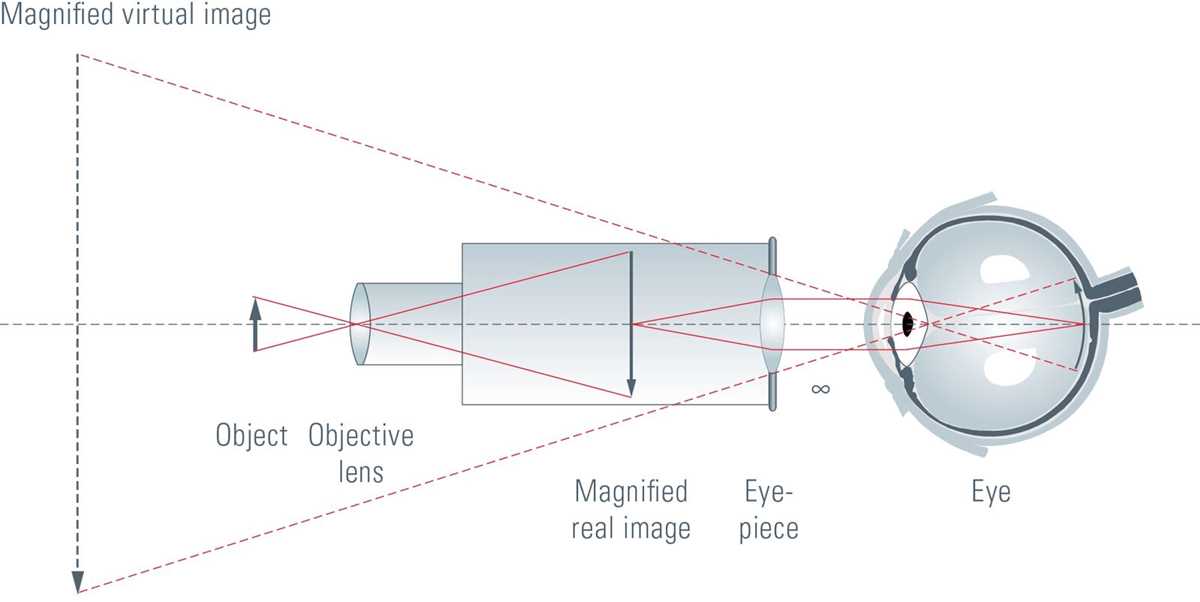 schematic diagram of optical microscope schematic diagram of optical microscope
