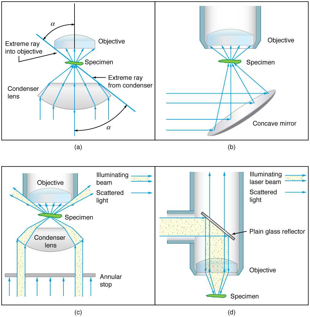 schematic diagram of optical microscope schematic diagram of optical microscope