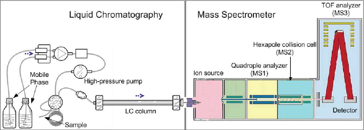 schematic lc ms ms diagram
