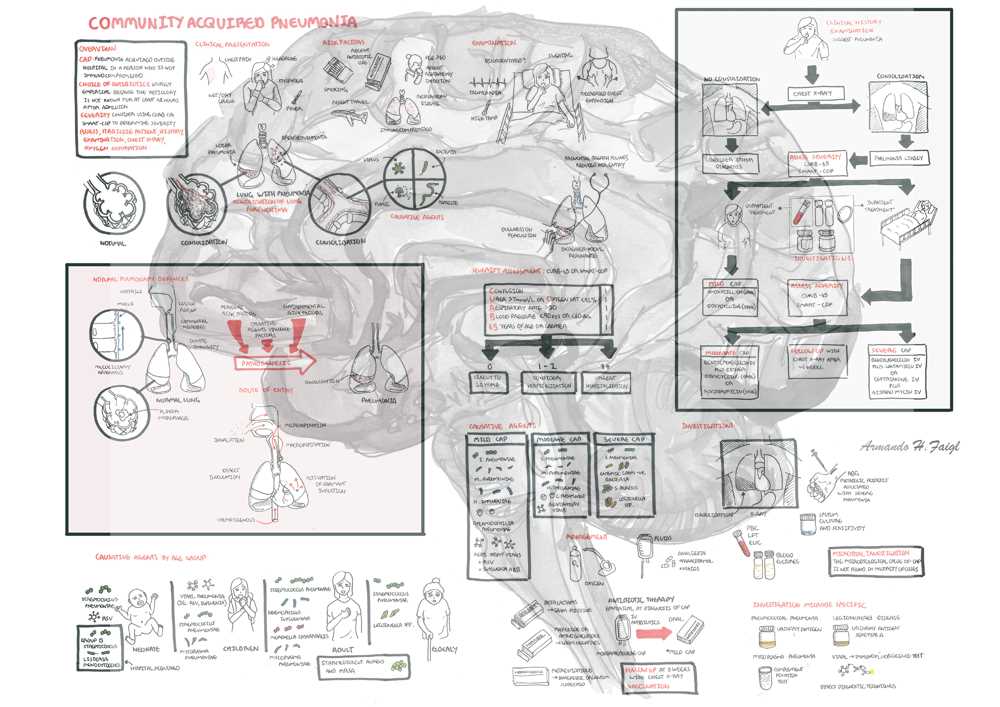 schematic diagram of pneumonia