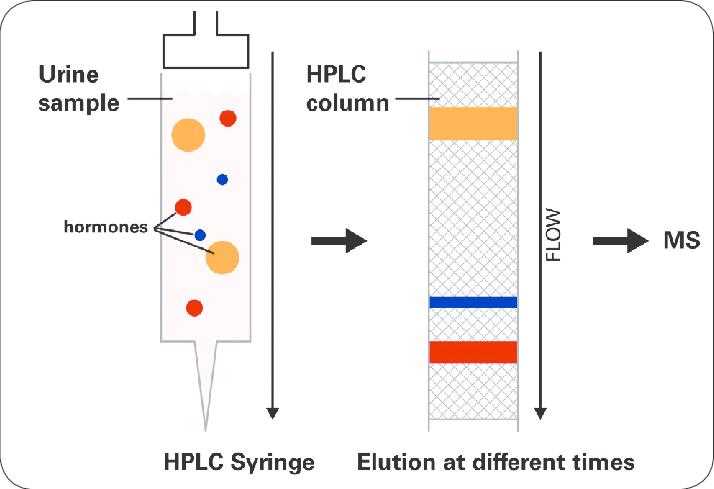 schematic diagram of reversed phase hplc