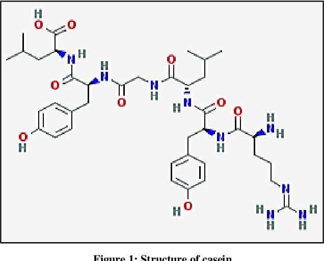 milk protein schematic diagram milk protein schematic diagram